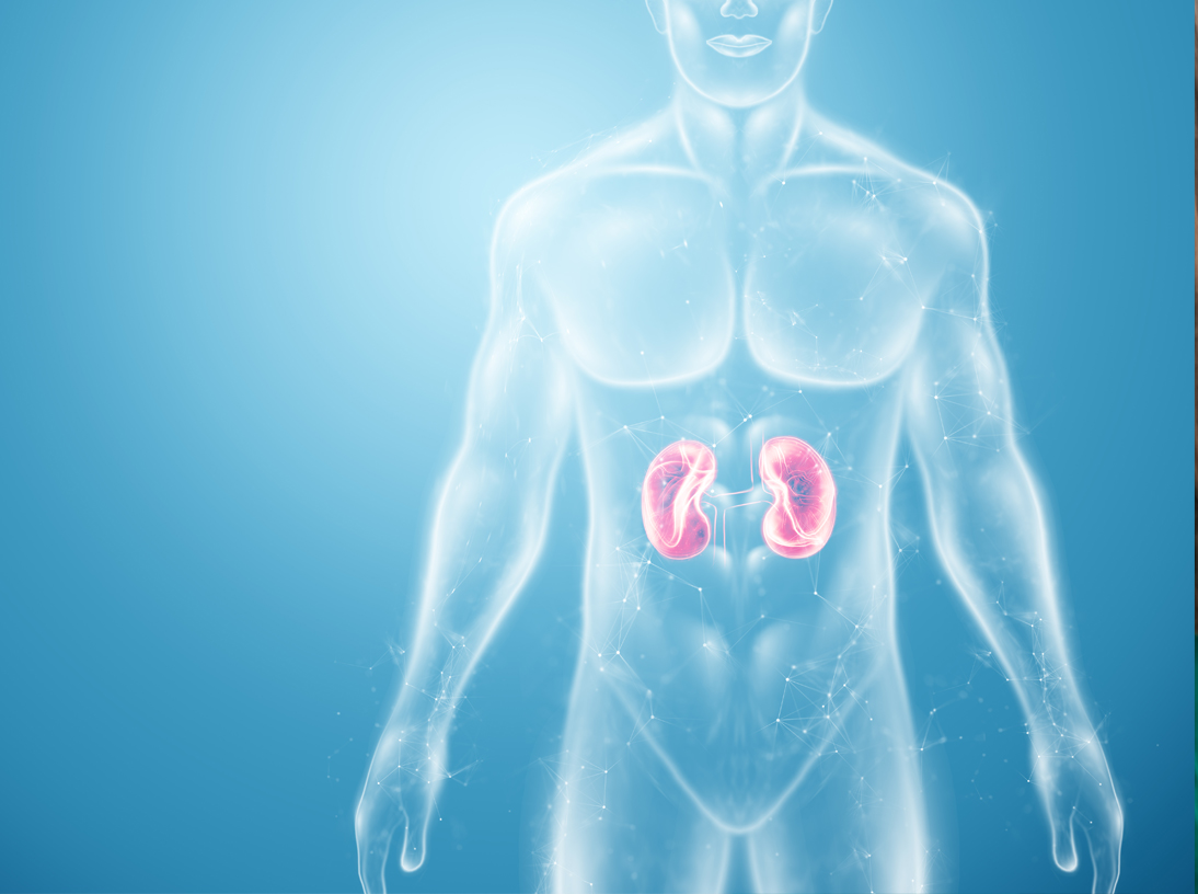 Nephrology